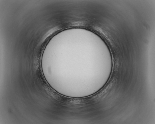 X0000113351211200910061011