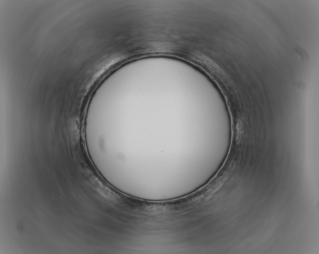 X0000113351212200910061011