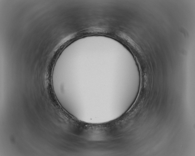 X0000113351213200910061011