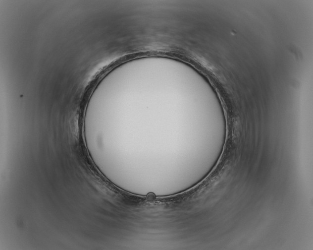 X0000113351214200910061011