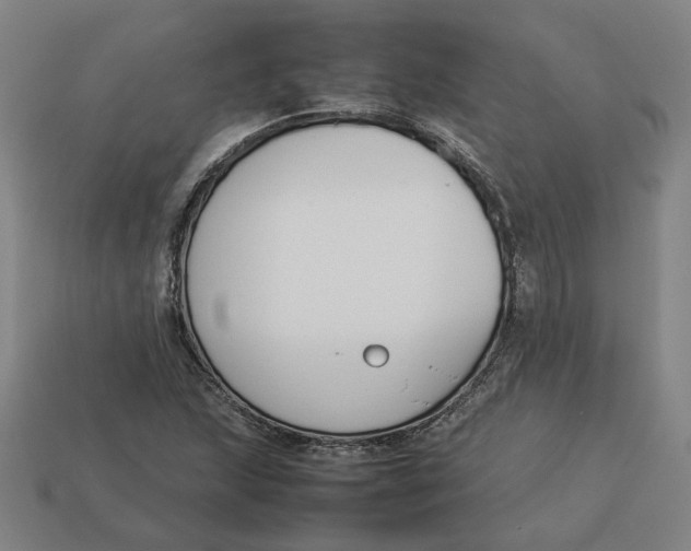 X0000113351215200910061011