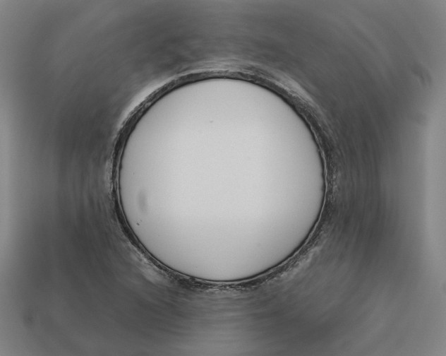 X0000113351216200910061011