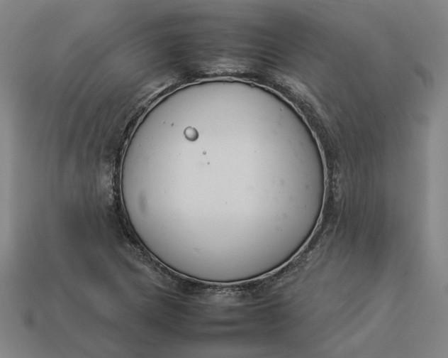 X0000113351217200910061011