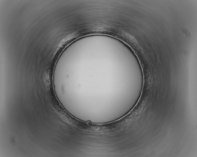 X0000113351218200910061012