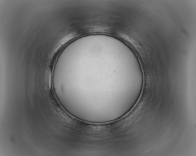 X0000113351219200910061012