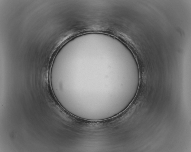 X0000113351220200910061012