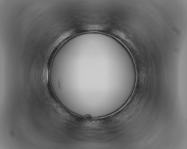 X0000113351221200910061012