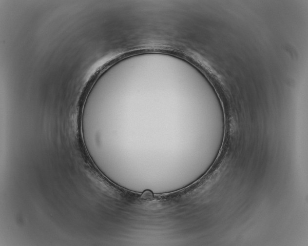 X0000113351222200910061012