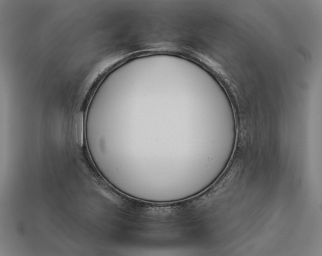 X0000113351223200910061012