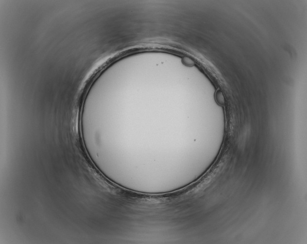 X0000113351224200910061012