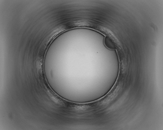 X0000113351225200910061012