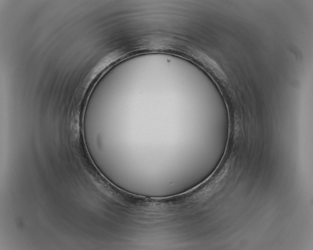 X0000113351226200910061012