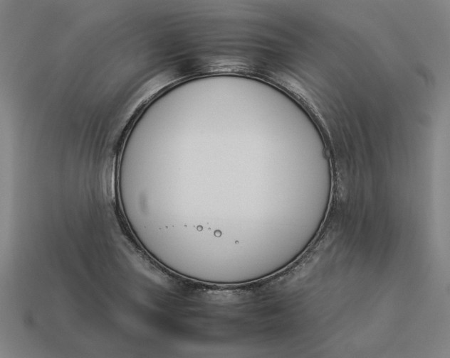 X0000113351227200910061012