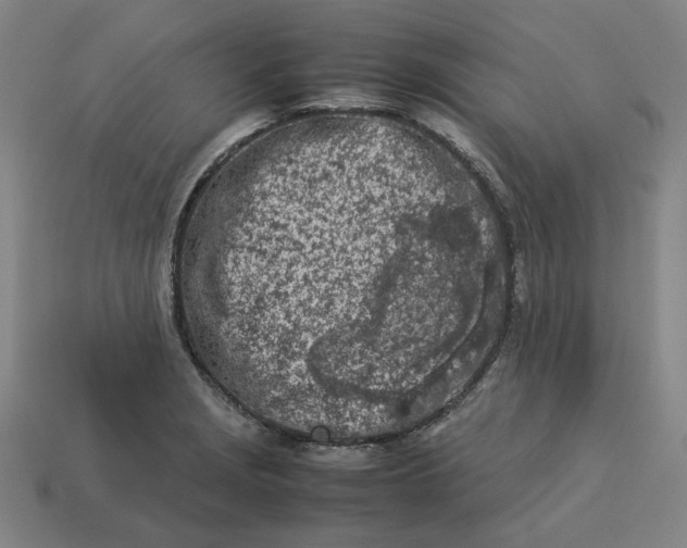 X0000113351229200910061012