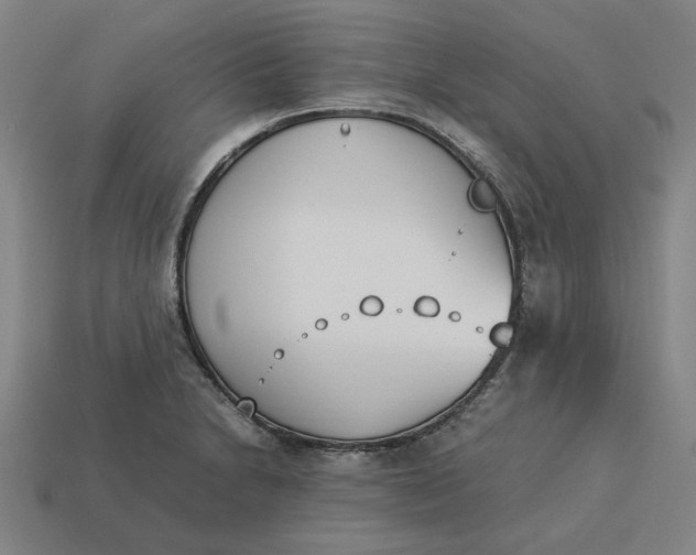 X0000113351230200910061012