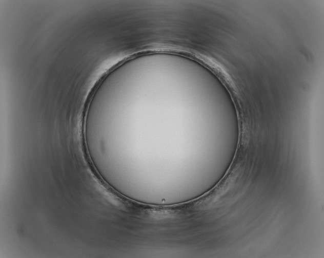 X0000113351231200910061012