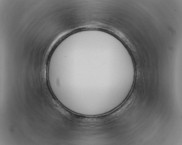 X0000113351232200910061012