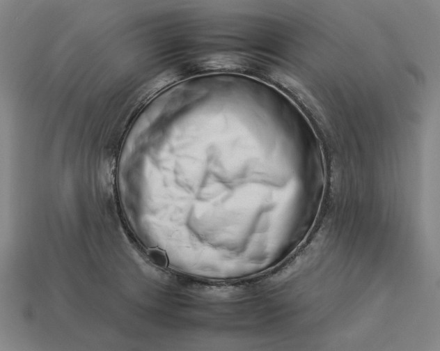 X0000113351233200910061012