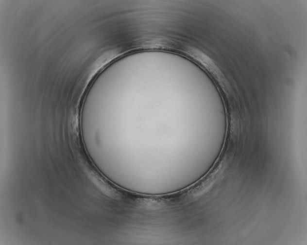 X0000113351234200910061012