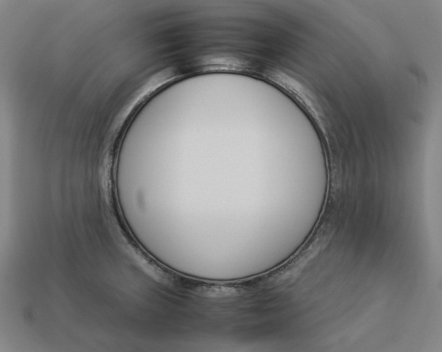 X0000113351235200910061012