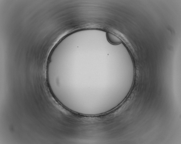 X0000113351236200910061012