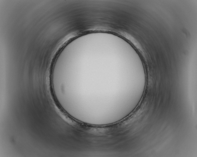 X0000113351237200910061012