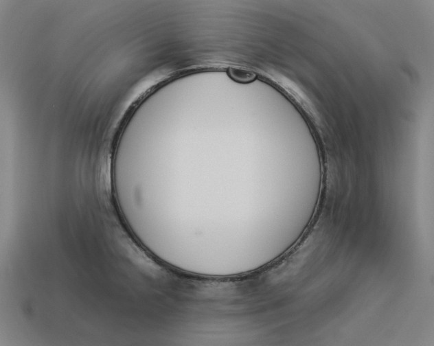 X0000113351238200910061012