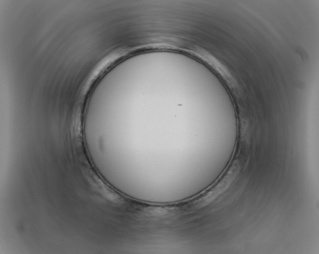 X0000113351240200910061012