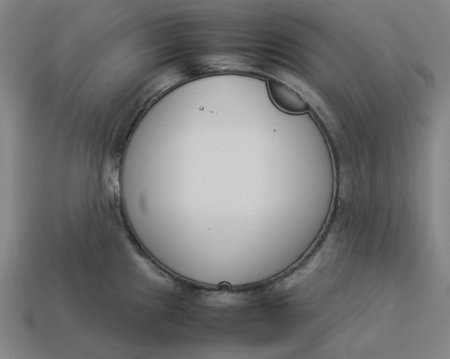 X0000113351241200910061012