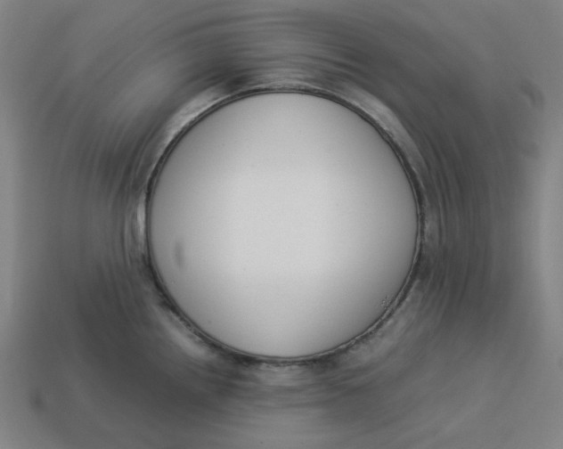 X0000113351242200910061012