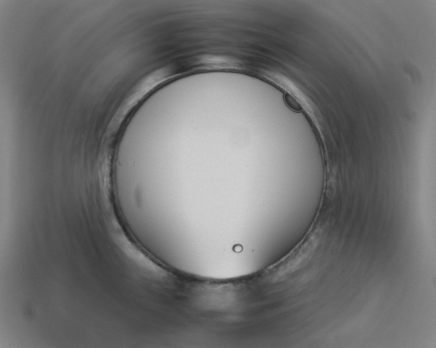 X0000113351243200910061012