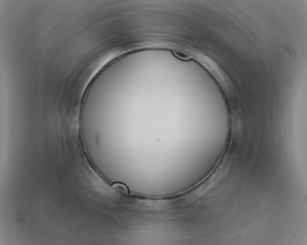 X0000113351244200910061012