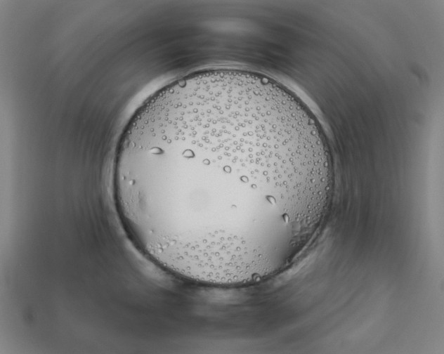 X0000113351245200910061012