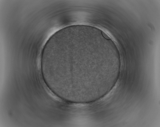 X0000113351246200910061012