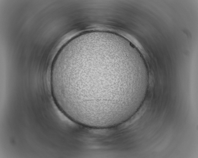 X0000113351247200910061012