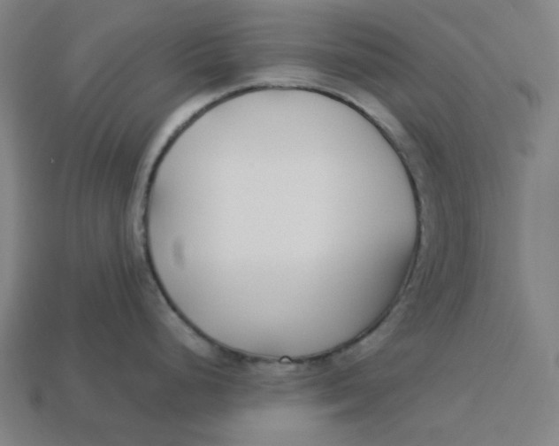 X0000113351248200910061012