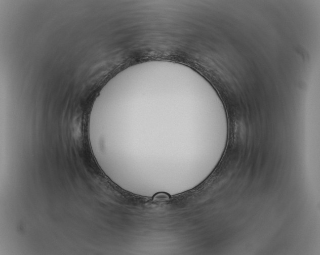 X0000113351250200910061011