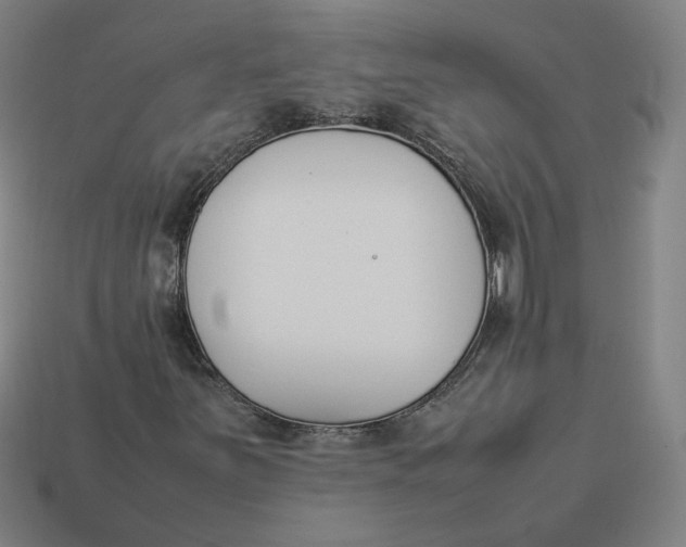 X0000113351251200910061011