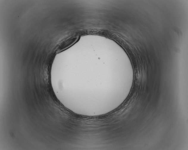 X0000113351252200910061011