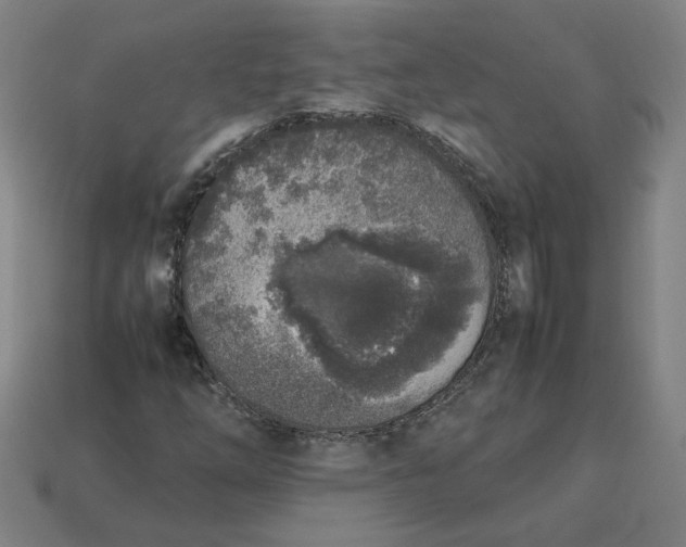 X0000113351254200910061011