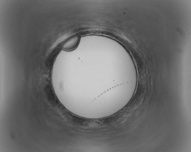 X0000113351255200910061011