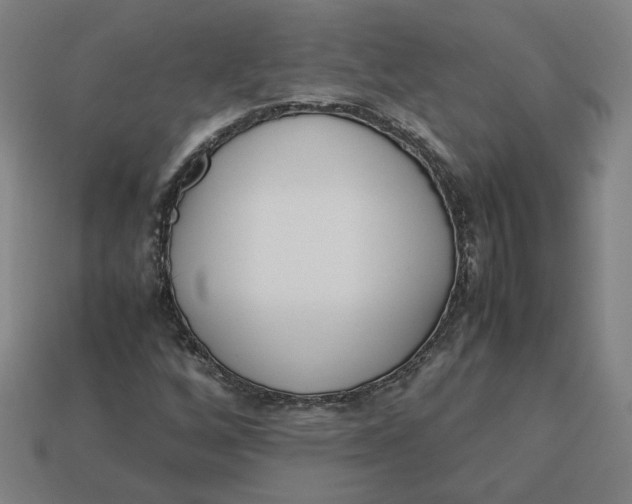 X0000113351256200910061011