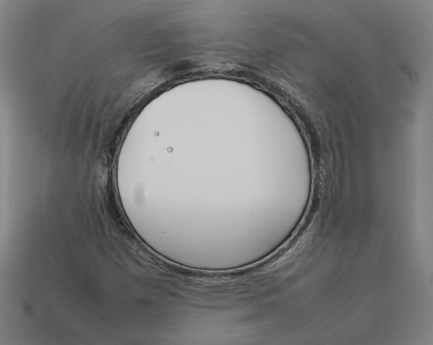 X0000113351257200910061011