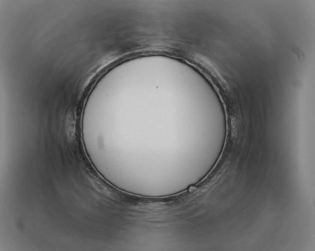 X0000113351260200910061011