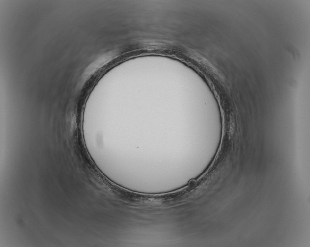 X0000113351261200910061011