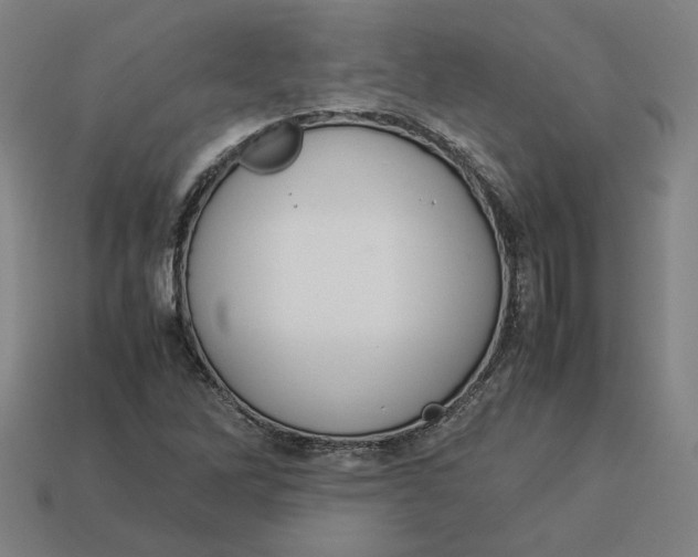 X0000113351262200910061011