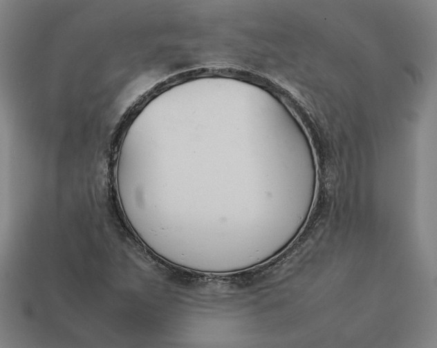 X0000113351263200910061011