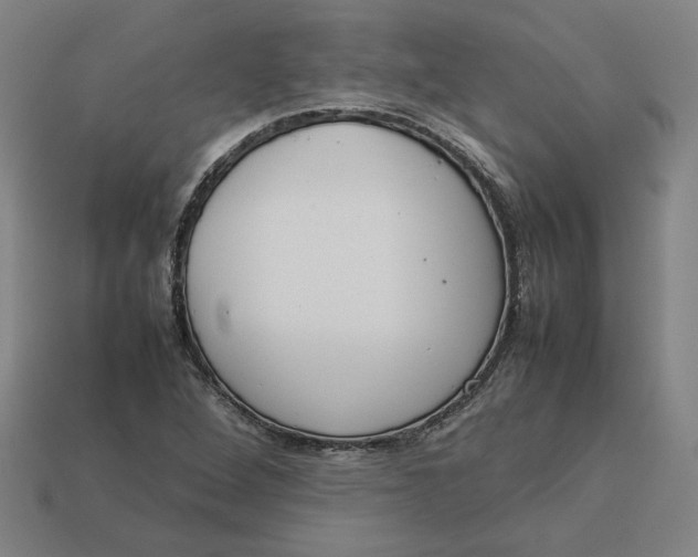 X0000113351264200910061011