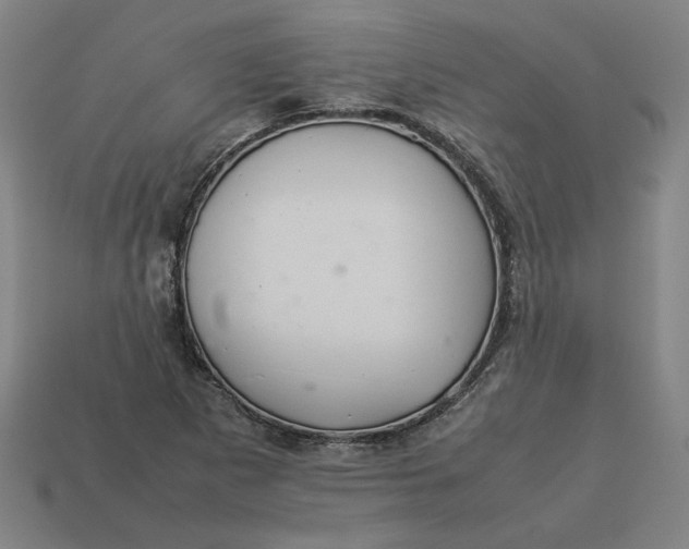 X0000113351265200910061011