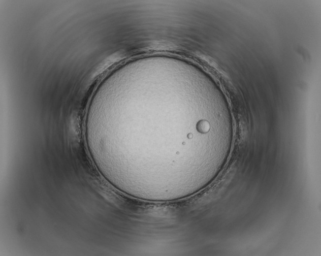 X0000113351266200910061011